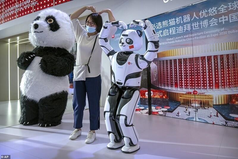 Танцующий робот-панда для развлечения посетителей