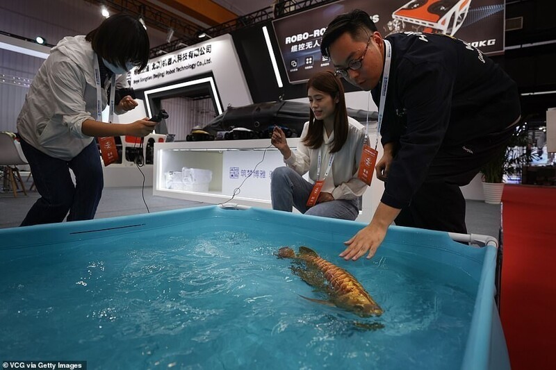 Посетители конференции играют с роботом-рыбой