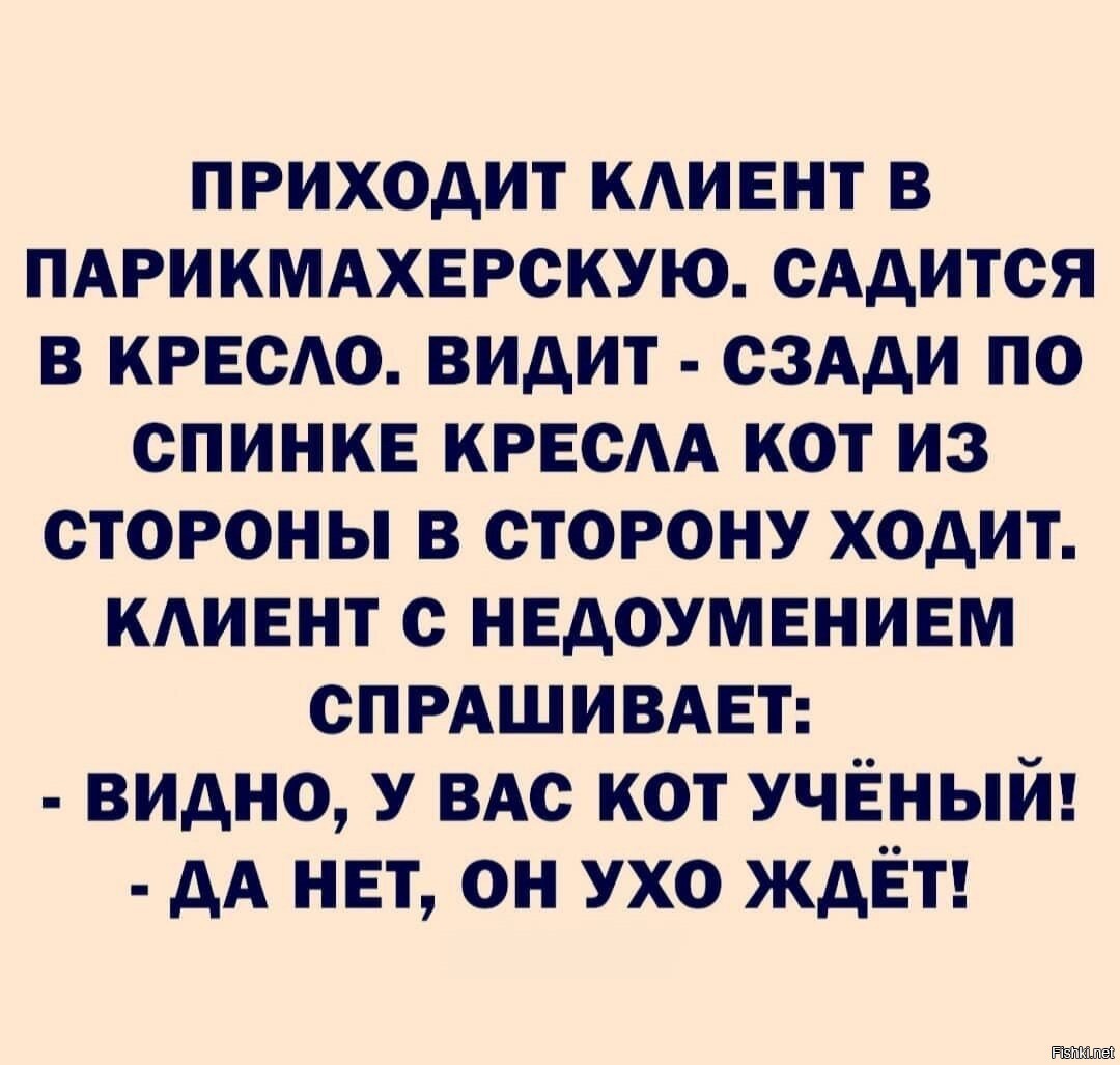 Приходить клиент. Клиент пришел. Анекдоты из Одессы 2022
