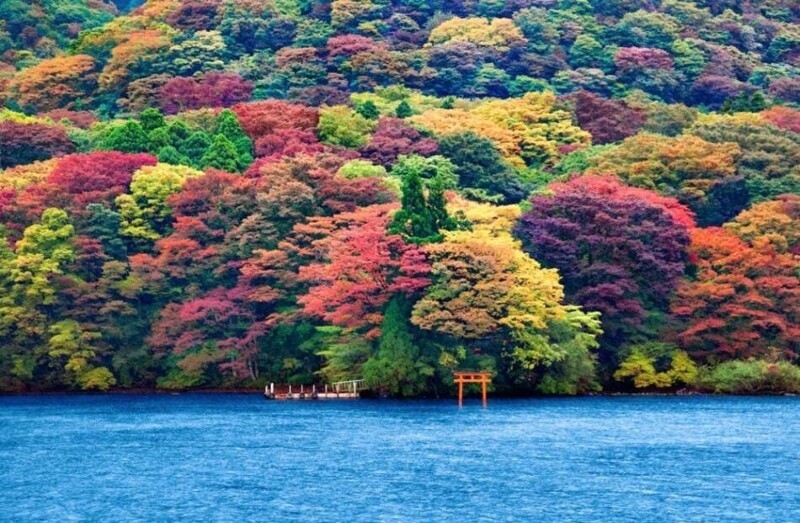 Озеро Аши на фоне разноцветного дерева, Хаконе, Япония