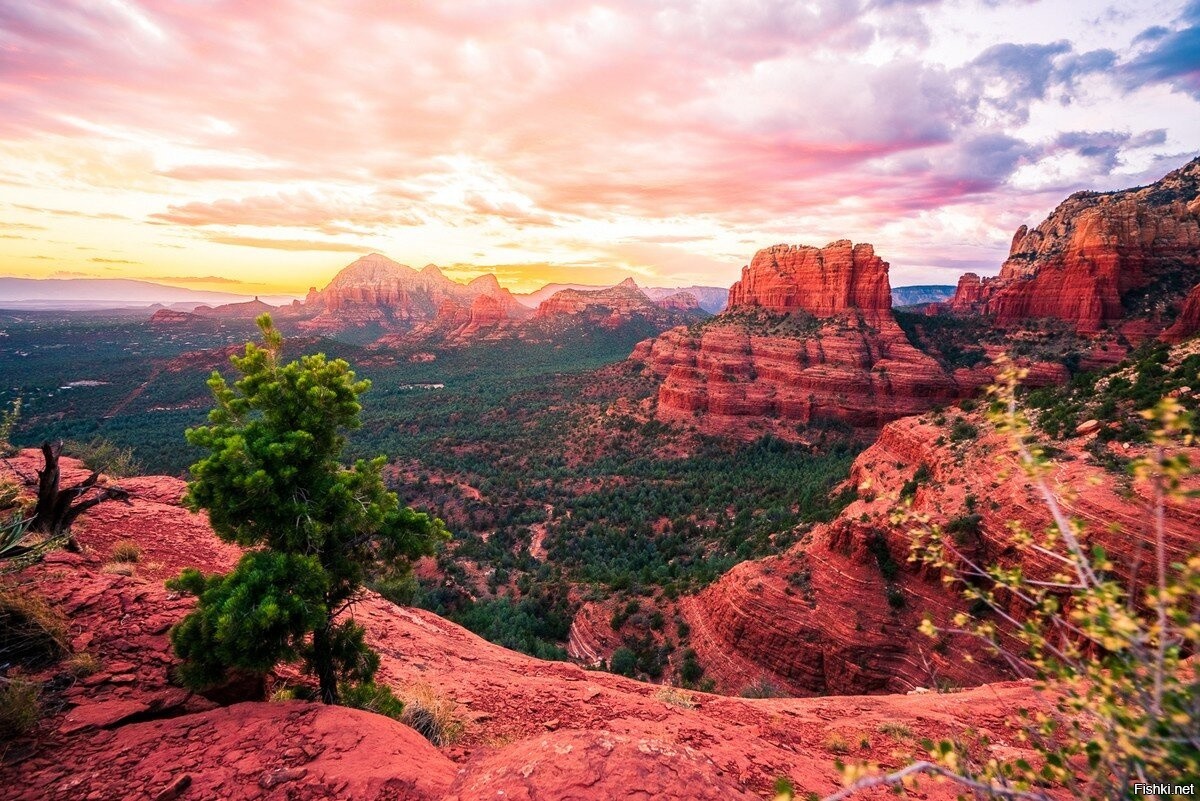 Аризона новый. Седона штат Аризона. Седона (Sedona), штат Аризона. Горы Седона, Аризона, США. Штат Аризона природа.