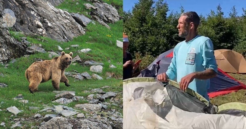"Мы издали такой ультразвук!": в окрестностях Сочи медведь напал на туристов