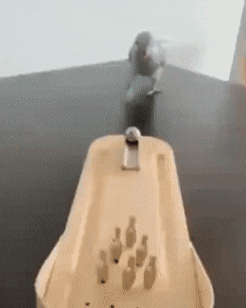 Просто гифки, всякие и разные