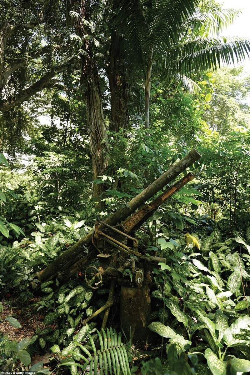 Японское зенитное орудие, Мишен Хилл, Вевак, Папуа-Новая Гвинея