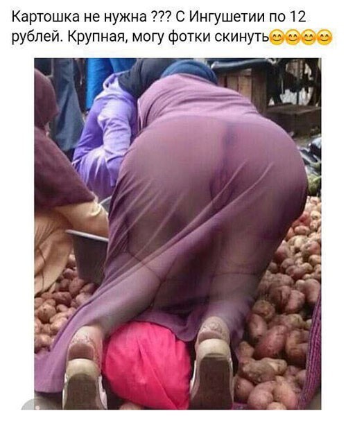 Смешные и познавательные картинки