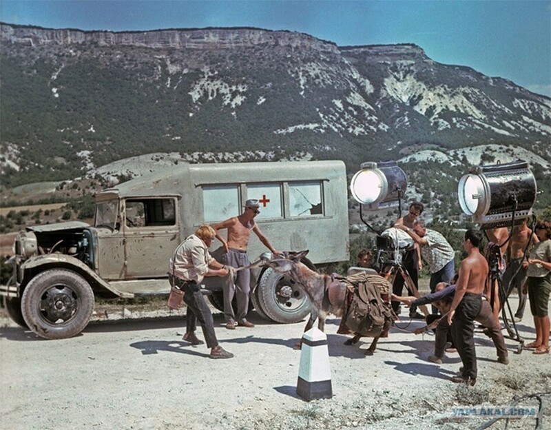 На съемках "Кавказской пленницы", 1966 год. Осел-упрямое животное