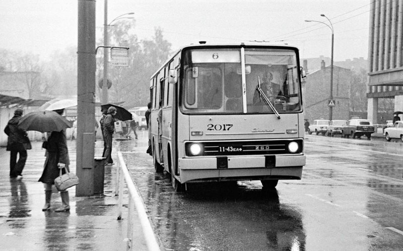 «Икарус» в СССР: сколько, по какой цене и зачем закупали венгерские автобусы