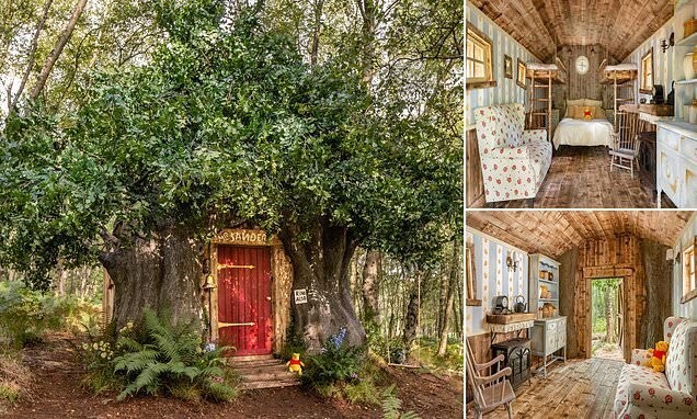 Компания Disney построила дом Винни-Пуха в английском лесу
