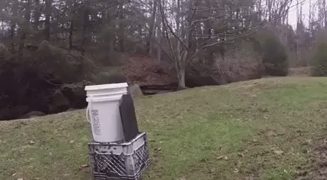 Гифки дня Гифки дня