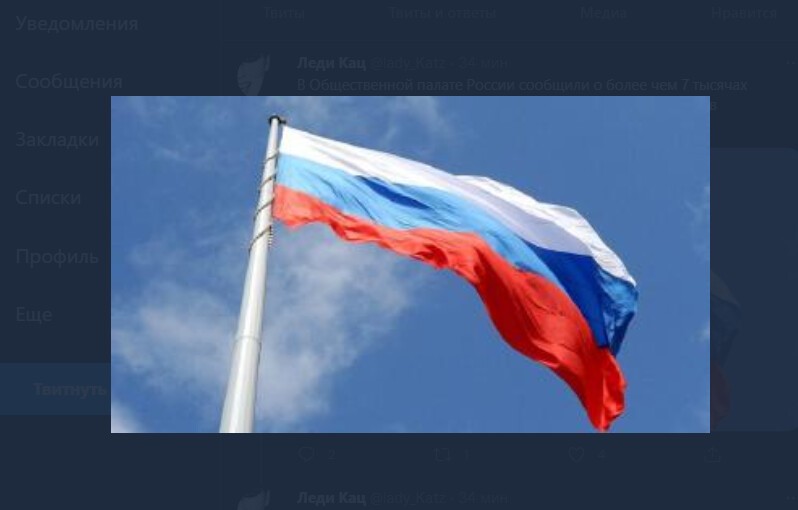В Общественной палате России сообщили о более чем 7 тысячах попыток дискредитации выборов в Государственную Думу в социальных сетях.