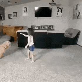 Собачьи гифки Собачьи гифки