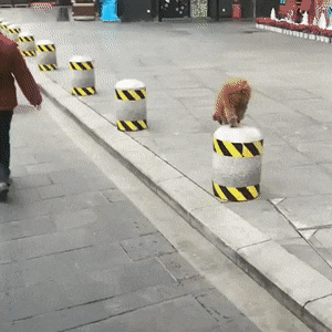 Просто гифки, всякие и разные