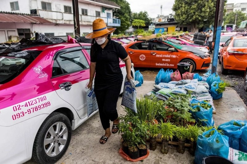 Простаивающие тайские такси становятся зелеными мини-огородами