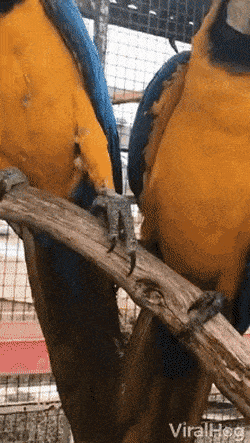 Гифки разные