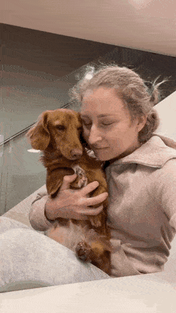 Собачьи гифки