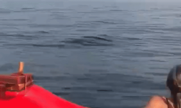 Просто гифки, всякие и разные Просто гифки, всякие и разные