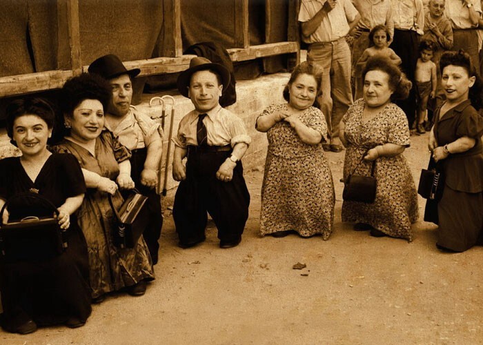 Семья Овиц - не только самая большая семья карликов, но и самая большая семья (12 человек), выжившая в Освенциме