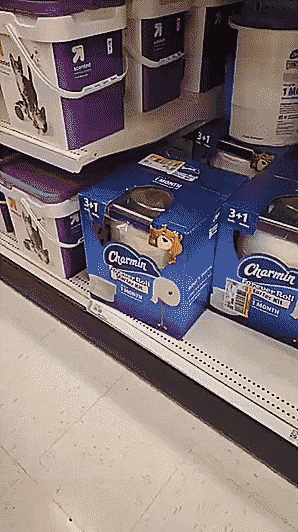 Гифки Гифки