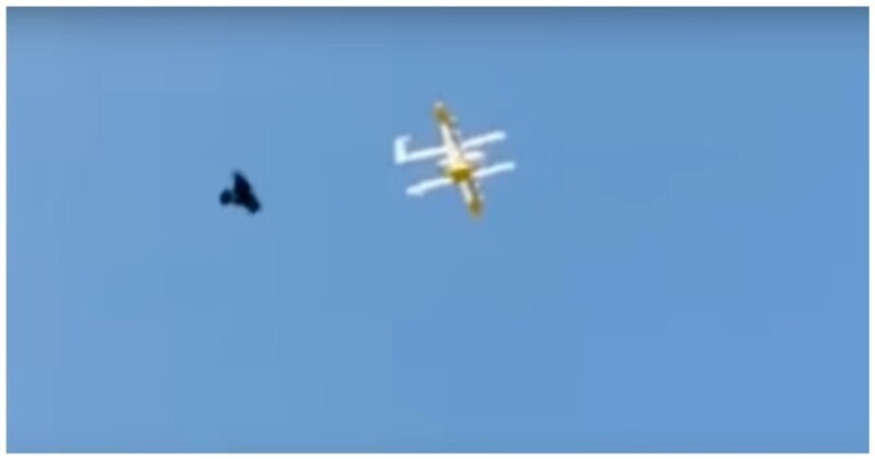 В Австралии ворон напал на дрона-курьера