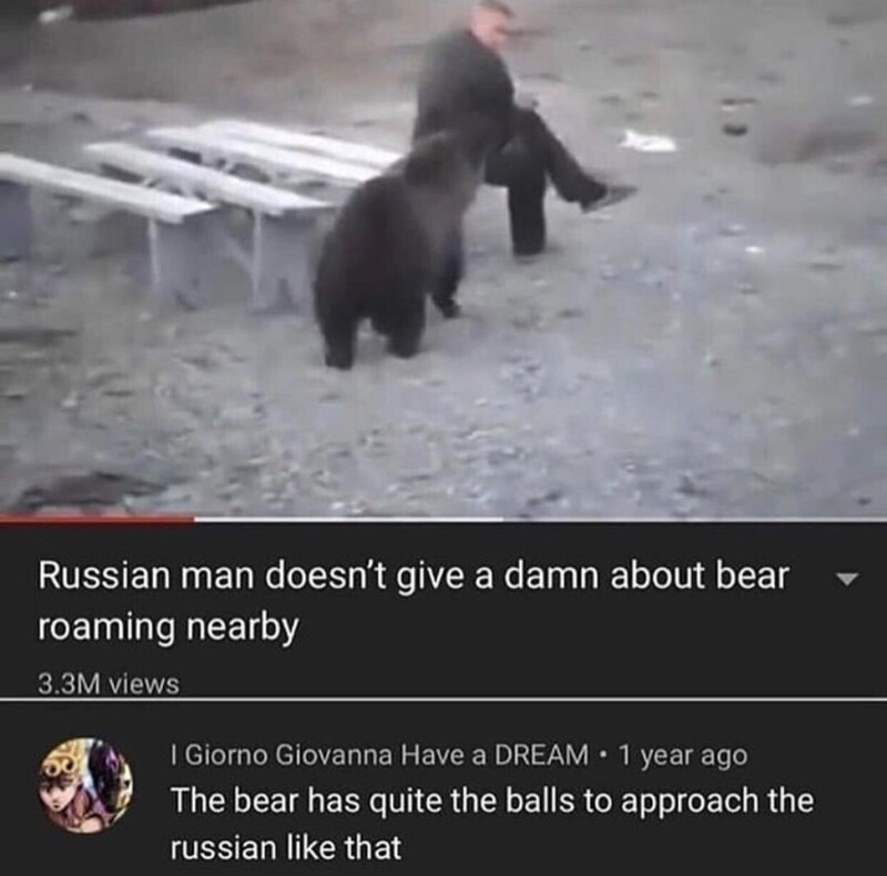 "У этого медведя, видимо, стальные яйца, чтоб вот так запросто подойти к русскому"