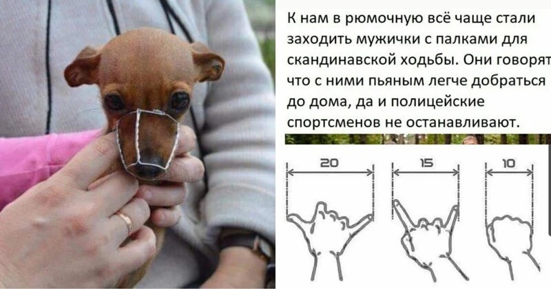 fotoram.jpg.webp