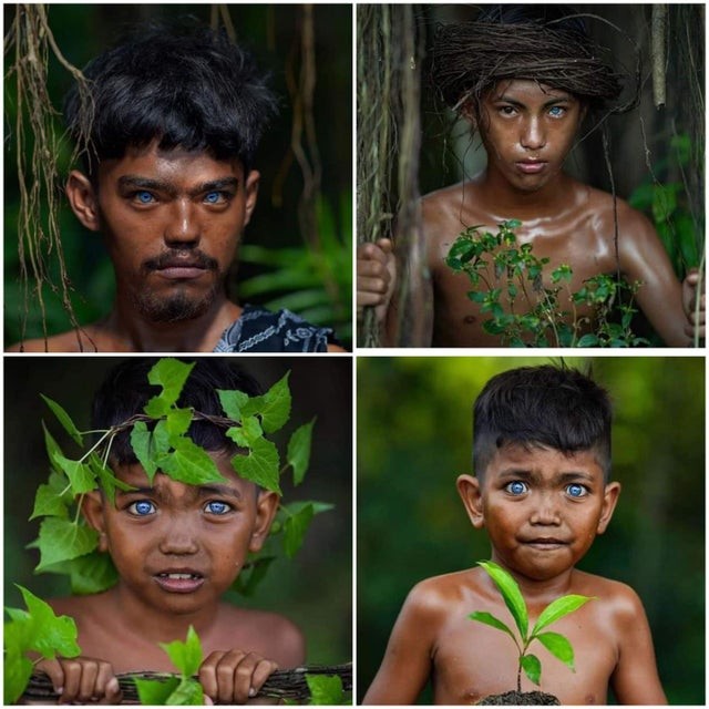 Голубоглазое племя Бутон из Юго-Восточного Сулавеси, Индонезия