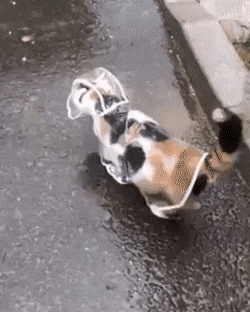 Просто гифки, всякие и разные