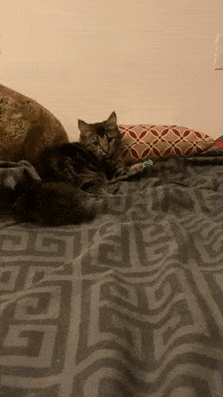 С добрым утром! С добрым утром!