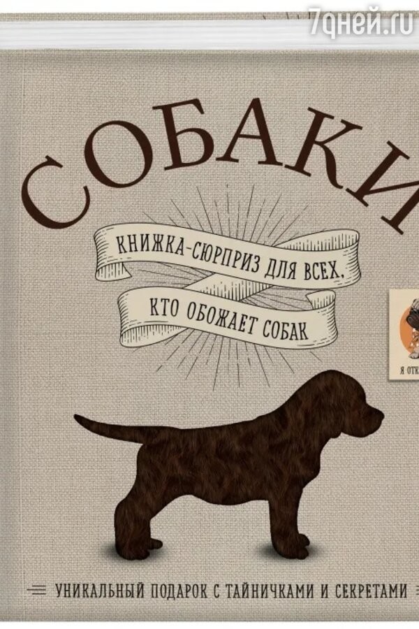 10 полезных книг для владельцев собак
