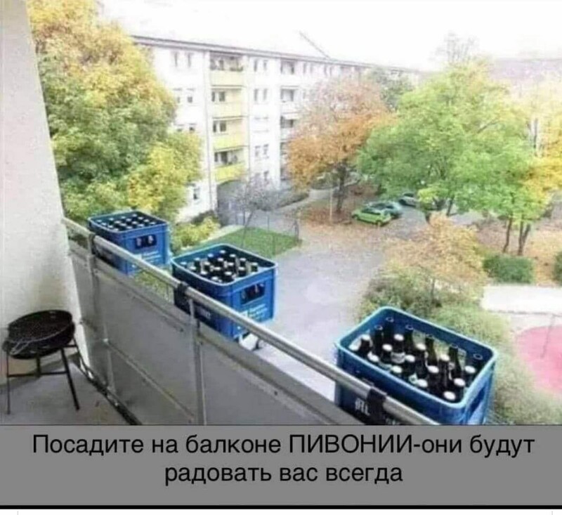 Когда на балконе осенью убирают цветочки)