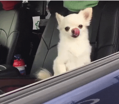 С добрым утром!