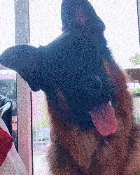 С добрым утром!