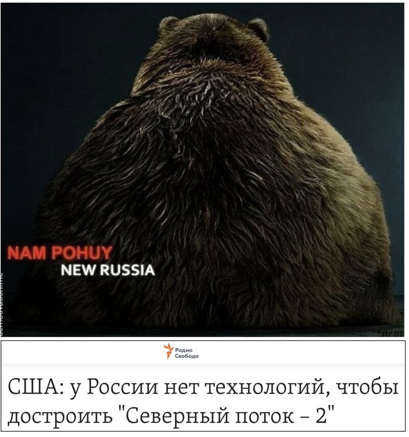 Началось заполнение газом первой нитки газопровода «Северный поток — 2»