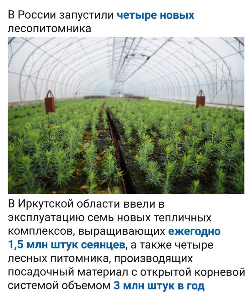Немного о политике