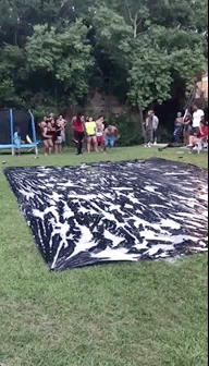 Просто гифки, всякие и разные