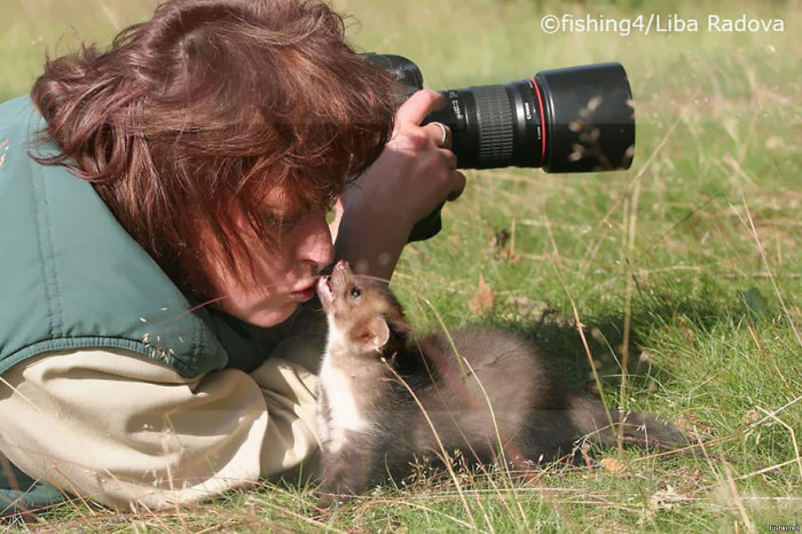 Фотограф фотографирует животных