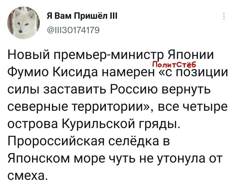 О политике и только