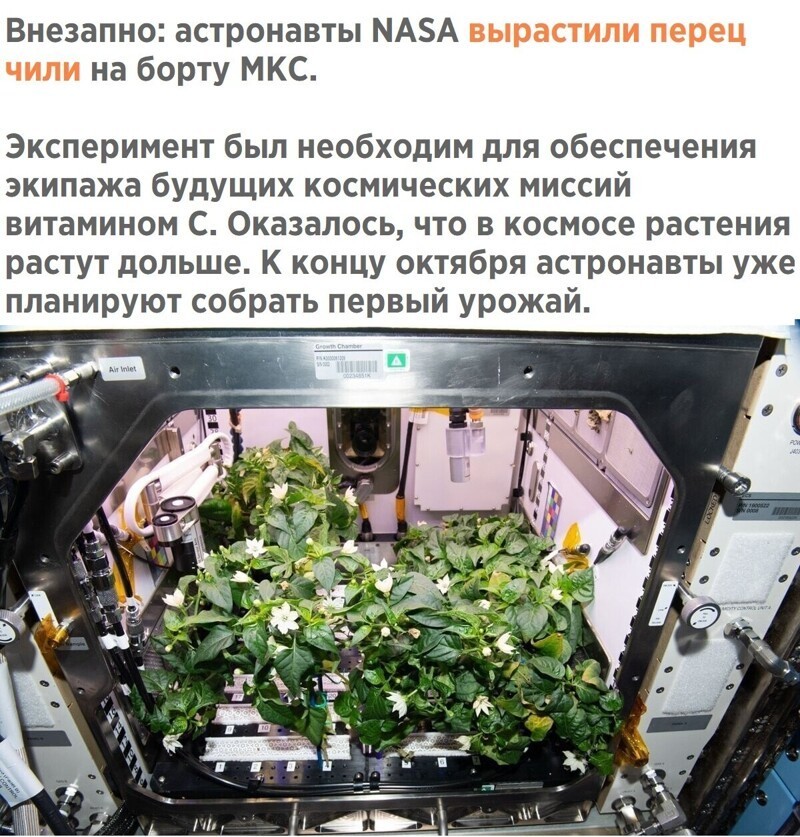 Вечерняя субботняя политота