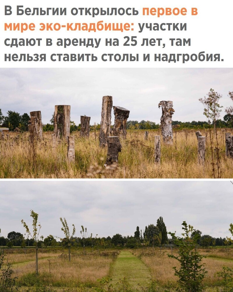 Вечерняя субботняя политота