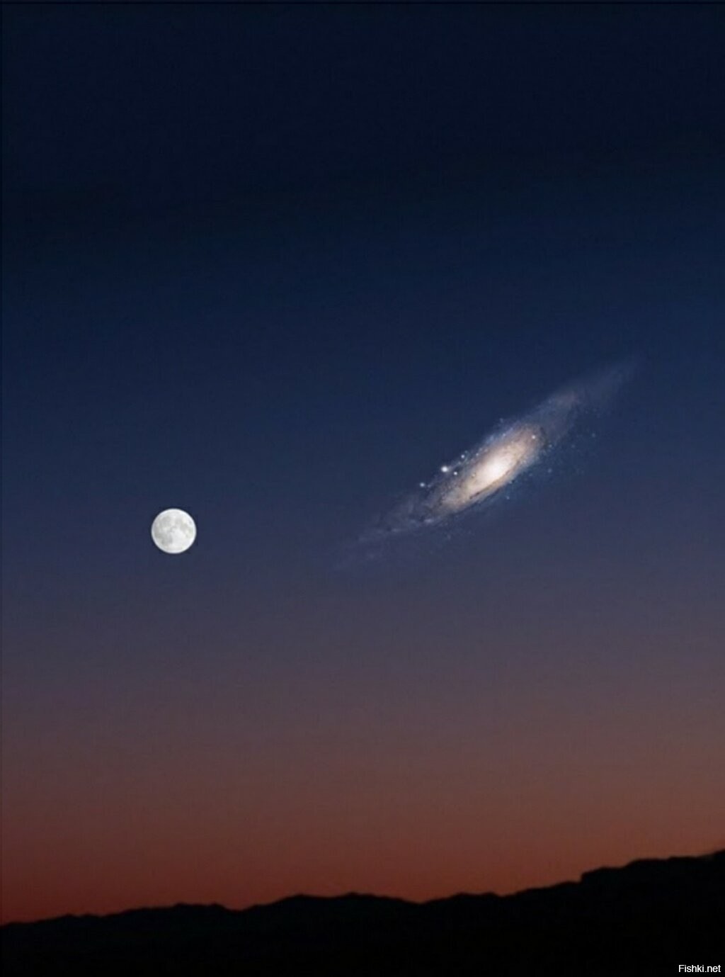 галактика андромеды на ночном небе фото