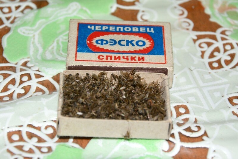 Городские мифы и легенды из СССР