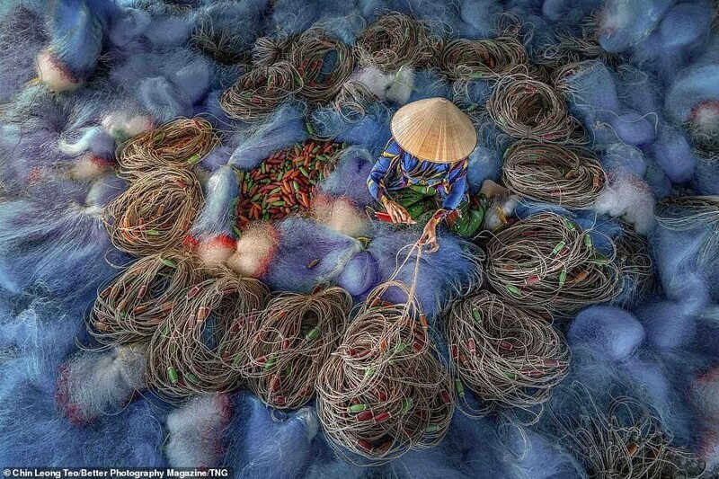 Чин Леонг Тео, "Вьетнамка, плетущая рыболовную сеть"