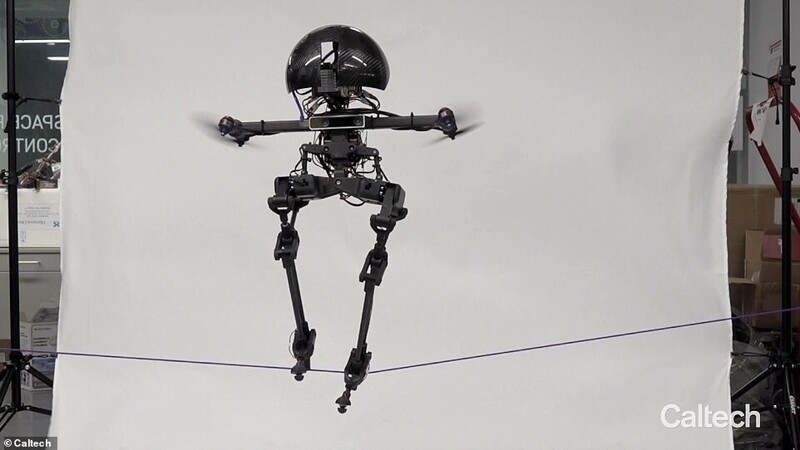 Робот-дрон научился ходить по канату и летать по воздуху