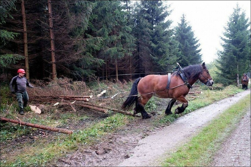 Фотоподборка