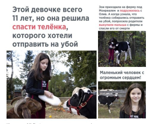 Немного о политике в начале трудовой недели