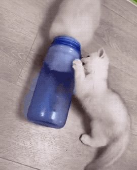 Полезай в бутылку, мячиком будешь