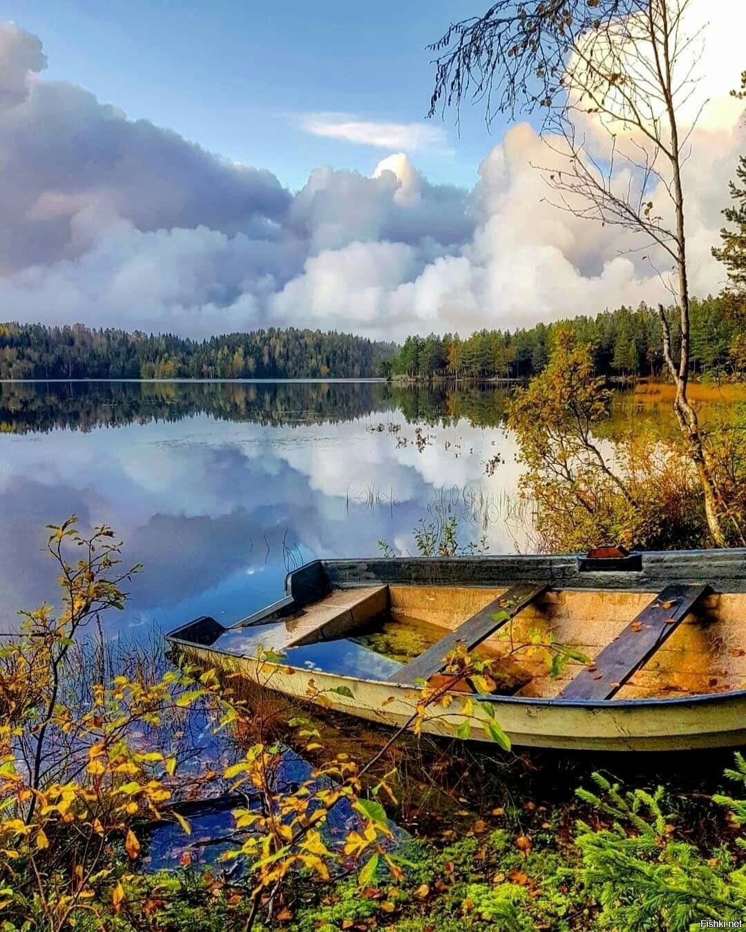 Озеро Лесное лодка
