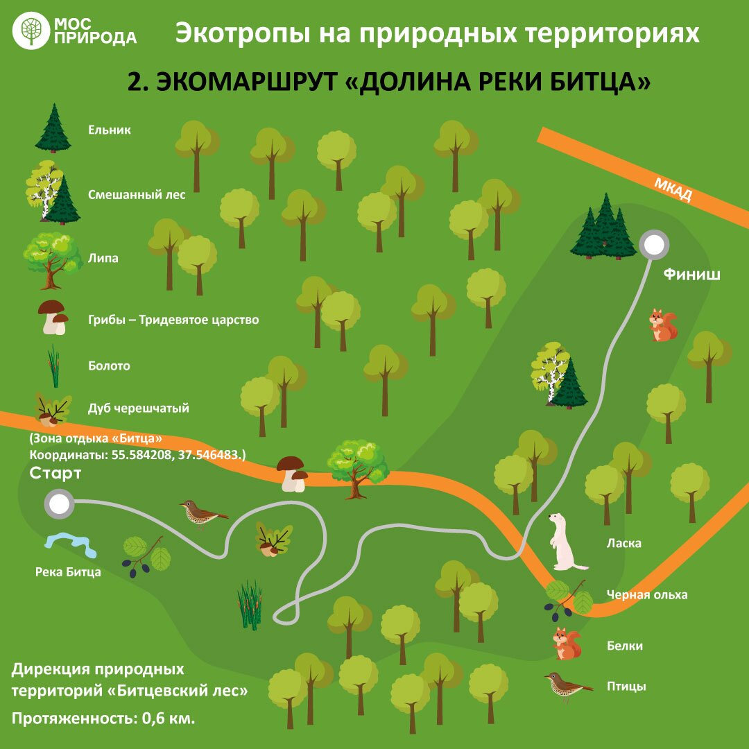 Где лучше проходить. Экотропы в Битцевском парке. Историко-экологическая тропа парка Битцевский лес. Эко тропа Битцевский парк. Экологическая тропа в Битцевском лесу.