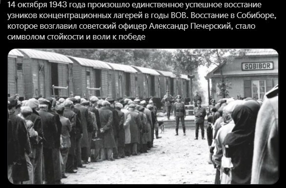 Дневные политические сводки с информационного фронта