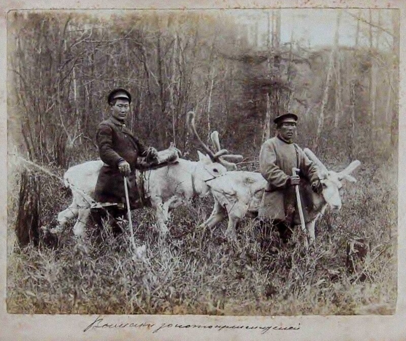 Вьючники золотоискателей. Ориентировочно 1895 год на Амуре.